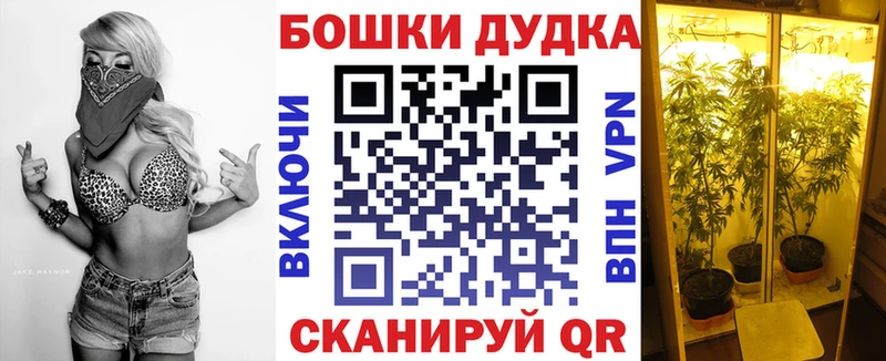 Каннабис план  Михайловка 